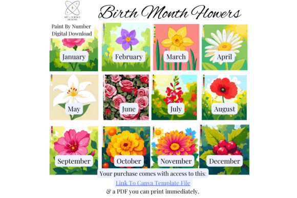 Birth Month Flowers: A Paint Color by Number for Creative Minds