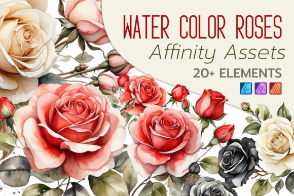 Water Color Roses: Elevate Your Affinity Designs