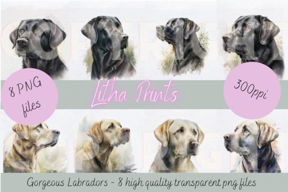 Watercolour Labradors: A Designer's Dream Asset